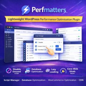 Download Perfmatters and improve WordPress website speed by disabling unused scripts, optimizing database and boosting Core Web Vitals performance.